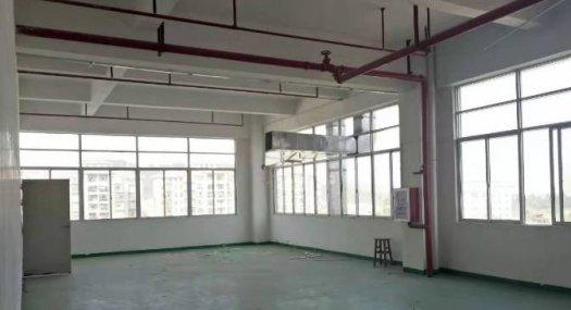 靠深圳 主干道旁 凤岗雁田楼上带装修办公室厂房出租1300平