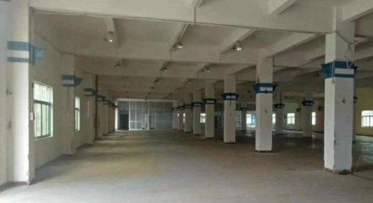 清溪三中独门独院厂房出租 超大空地 靠近高速路口