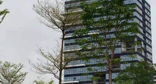 东莞松湖芯·50年红本厂房2200㎡ 出售