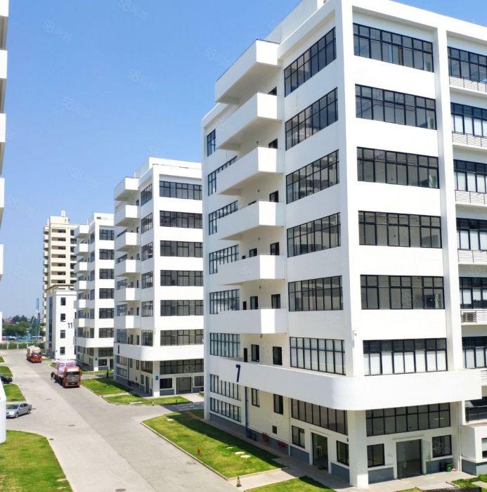 品牌新建工业园4万可分租全新带红本独栋厂房出租出门即主干道