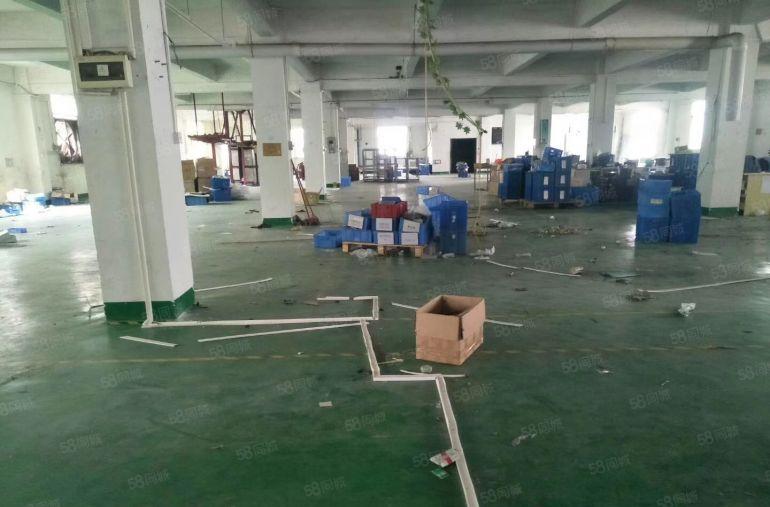 南城 厂房出租 一楼 800平方,价格便宜!急租