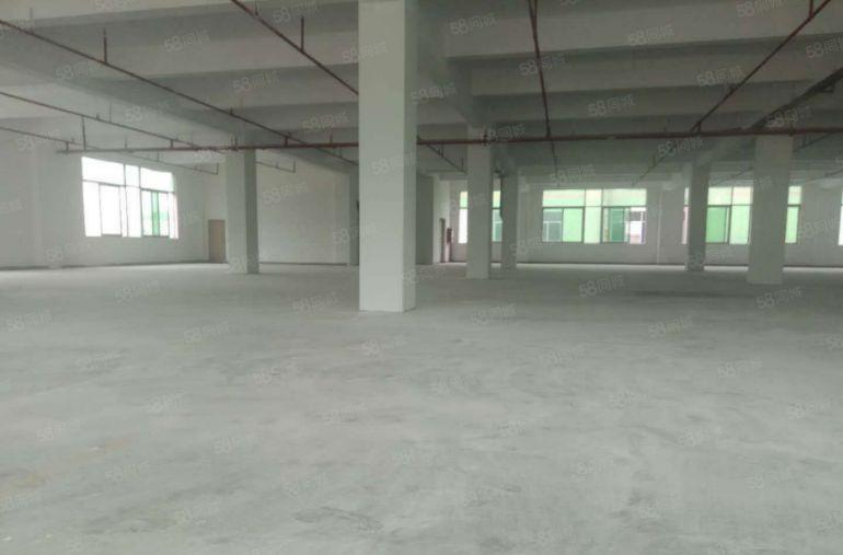 南城 独院 厂房出租 共5000平方，形象好