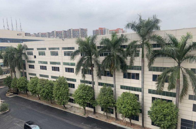 仓库厂房出租350平，500平，780平南城天安数码城附近.