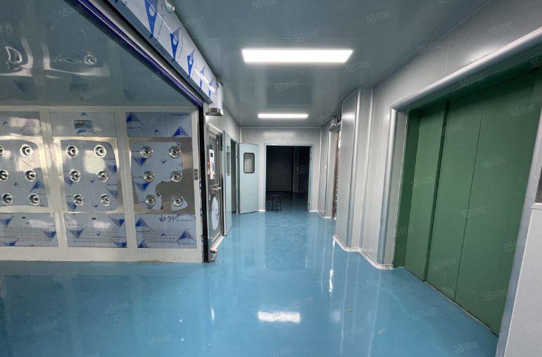 南城西平4750平可分精装修低价厂房仓库无尘车间一楼楼上出租