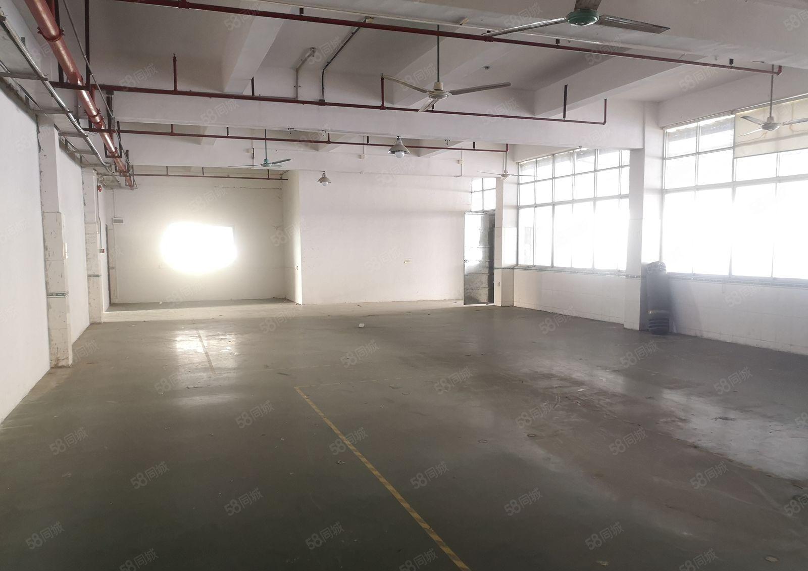 南城标准厂房1250平 现成地坪漆办公室 消防水电到位