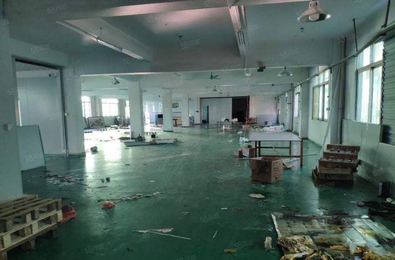 南城 厂房出租 一楼 800平方,价格便宜!急租