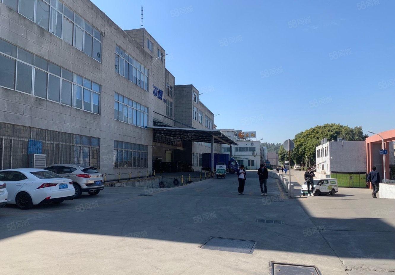 南城新出独院靓厂房，形象漂亮户型好用 适合各行业