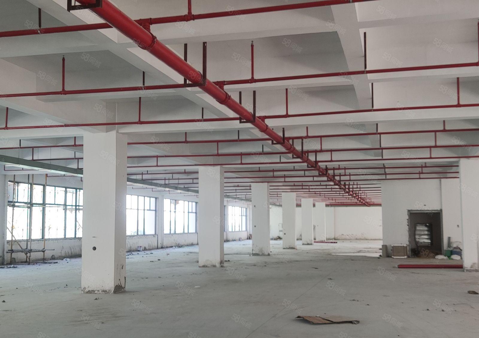 政府项目 智盈科技园 全新高标厂房出租可环评 720