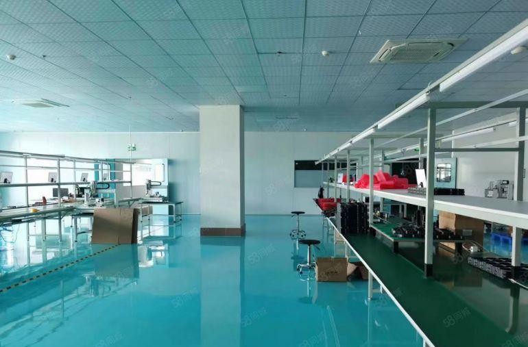 南城车站附近低价独院全新办公楼出租2250平方，独立停车场，