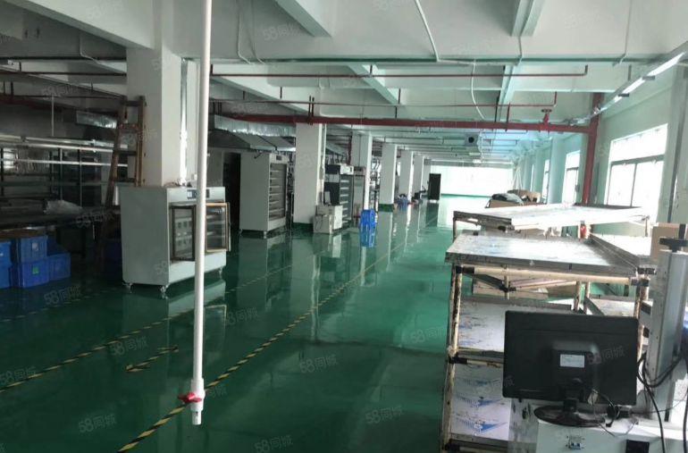 南城 厂房出租 一楼 800平方,价格便宜!急租