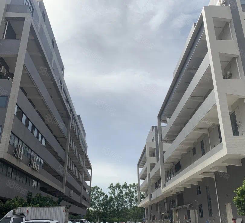 南城蛤地新空出厂房440平，可做贸易电子办公，仓库，小加工等