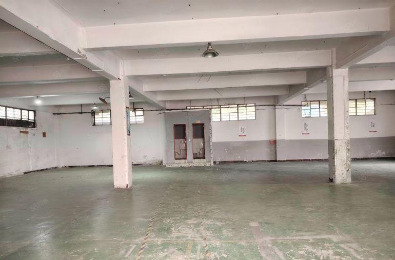 南城周溪标准一楼454平方厂房出租