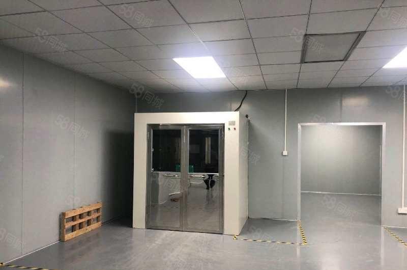 南城全新装修3000平方厂房出租，可办环评，可做食品加工