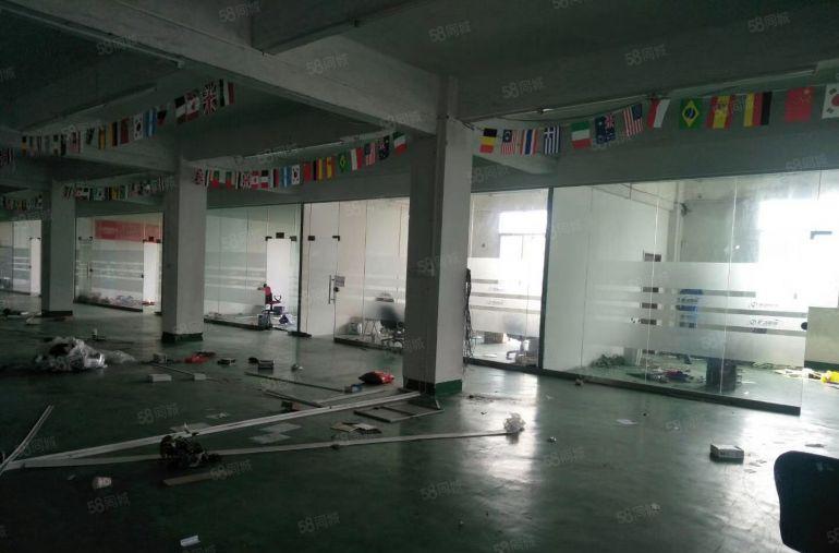 南城 厂房出租 一楼 800平方,价格便宜!急租