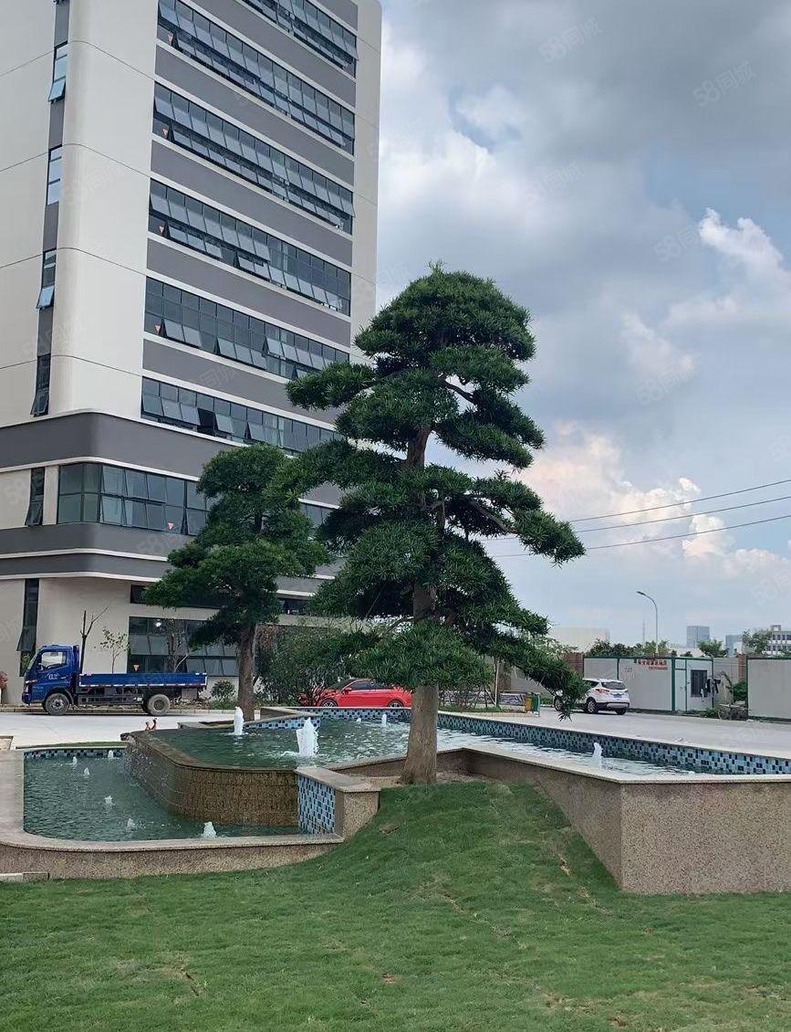 可分租！南城白马独院漂亮大厂房10000平，水电齐全，形象好