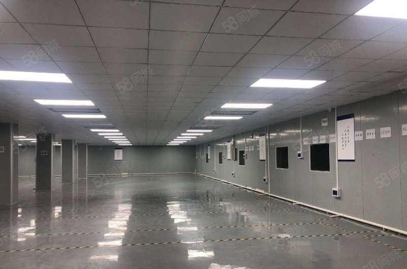 南城全新装修3000平方厂房出租，可办环评，可做食品加工