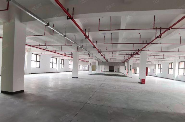 南城车站白马蛤地附近低价独院厂房出租仓库出租300至1800