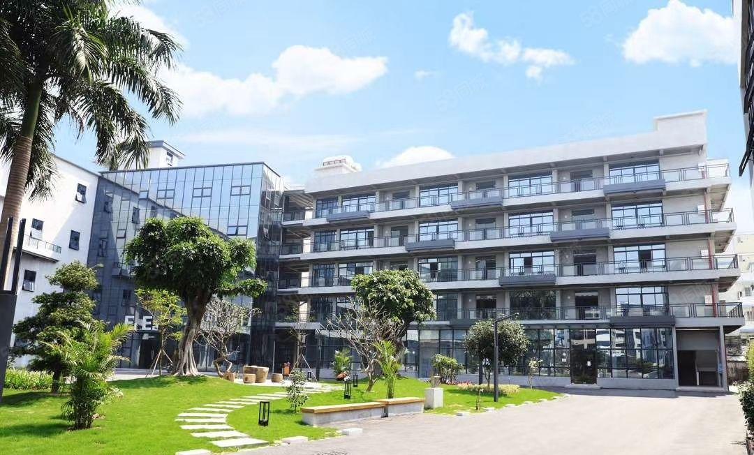 南城行政中心 办公室，电子商务场地出租500平，可分200平