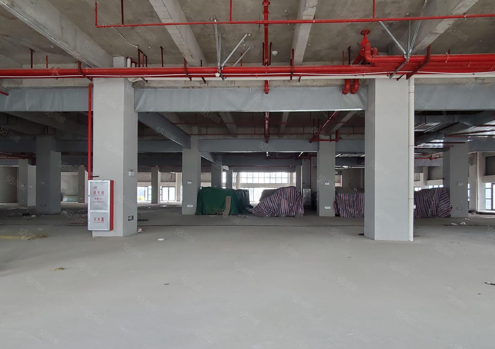 南城原房东厂房出租，每层2200平方，高新产业园，工业用地