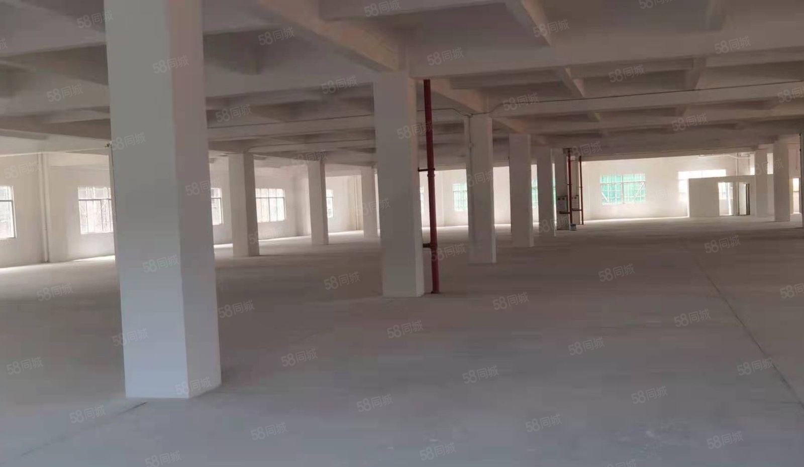 可分租靓厂房，南城新出标准厂房 适合电子设备仓库