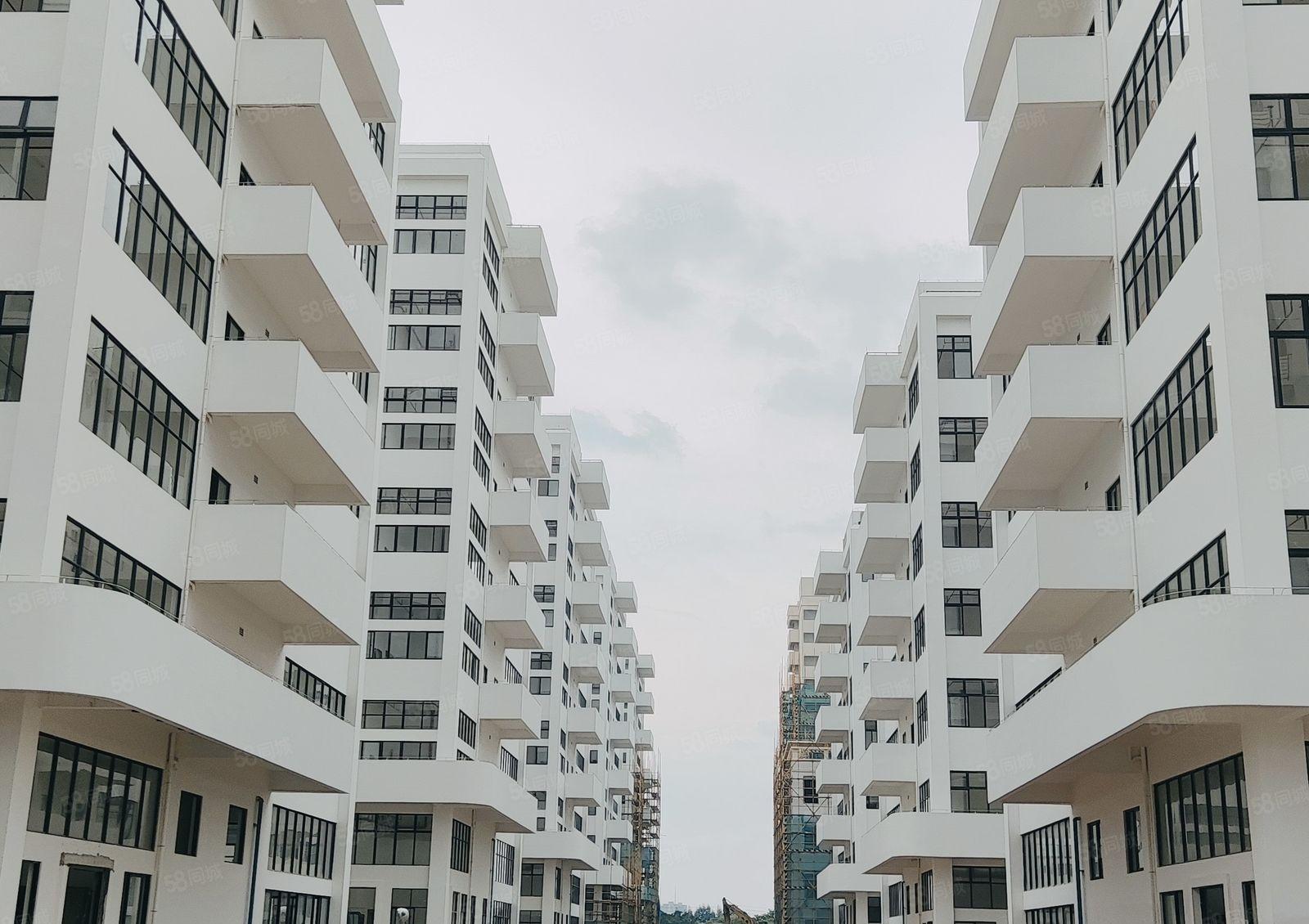 政府项目 高新科技园 全新高标准厂房出租可环评 1500