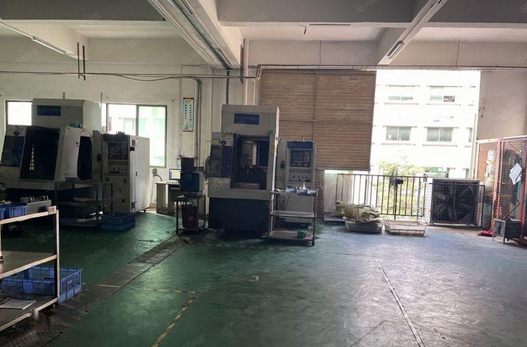 南城蛤地原房东独门独院厂房3800平全厂精装修大小可分租