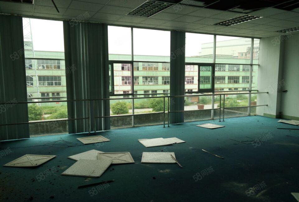 南城 白马 即将空出 二楼整层 600平方，精装修，九成新