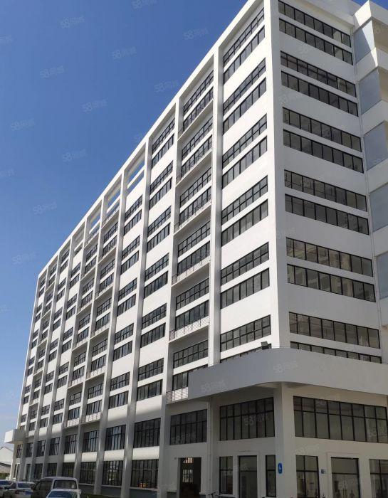 品牌新建工业园4万可分租全新带红本独栋厂房出租出门即主干道