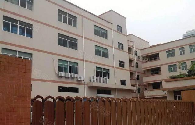 南城 白马 即将空出 二楼整层 600平方，精装修，九成新