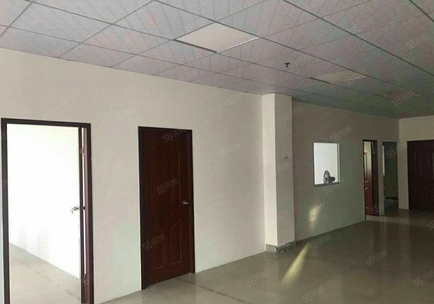 南城 白马 即将空出 二楼整层 600平方，精装修，九成新