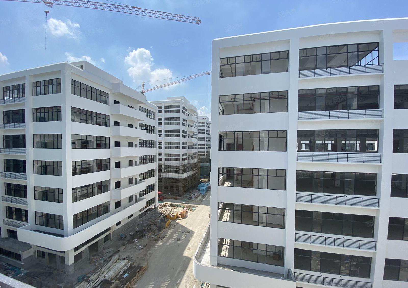 政府项目 智盈科技园 全新高标厂房出租可环评 720