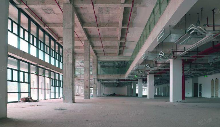 东莞原房东厂房 手持红本 智造 M1工业地 带消防