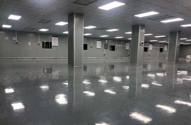 南城全新装修3000平方厂房出租，可办环评，可做食品加工