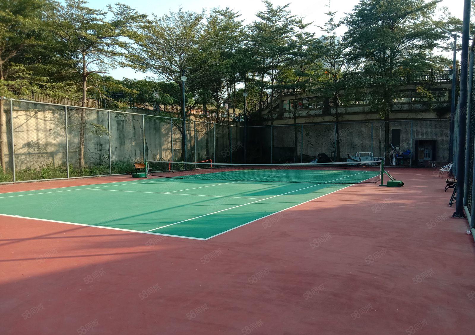 篮球馆，羽毛球馆，网球馆，餐厅，会所，出租6.8万