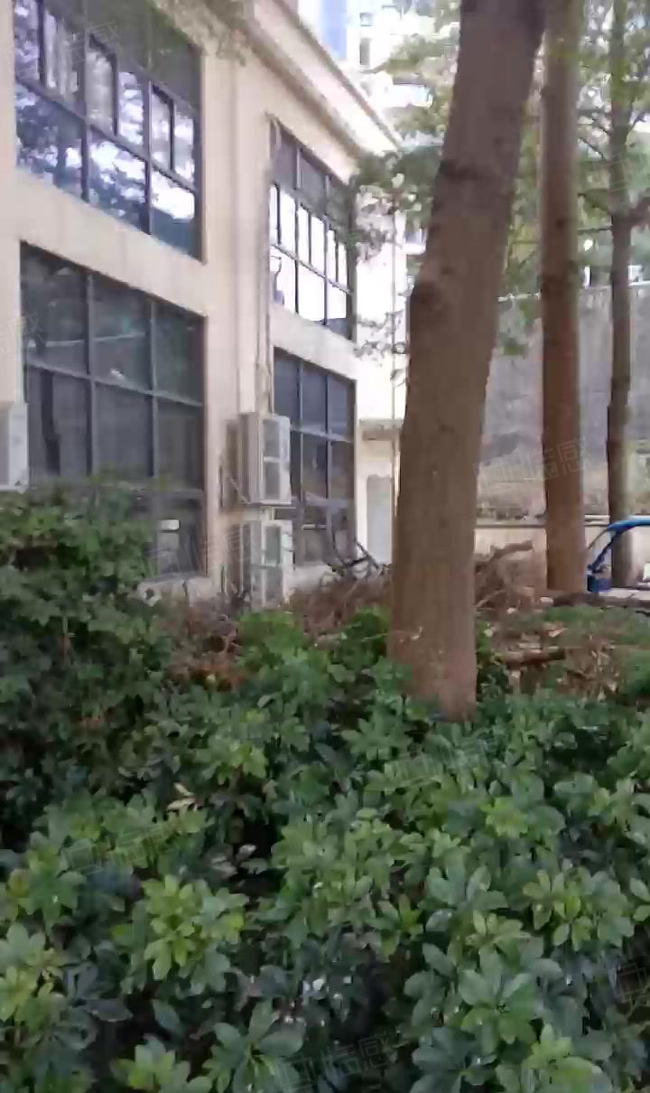 篮球馆，羽毛球馆，网球馆，餐厅，会所，出租6.8万