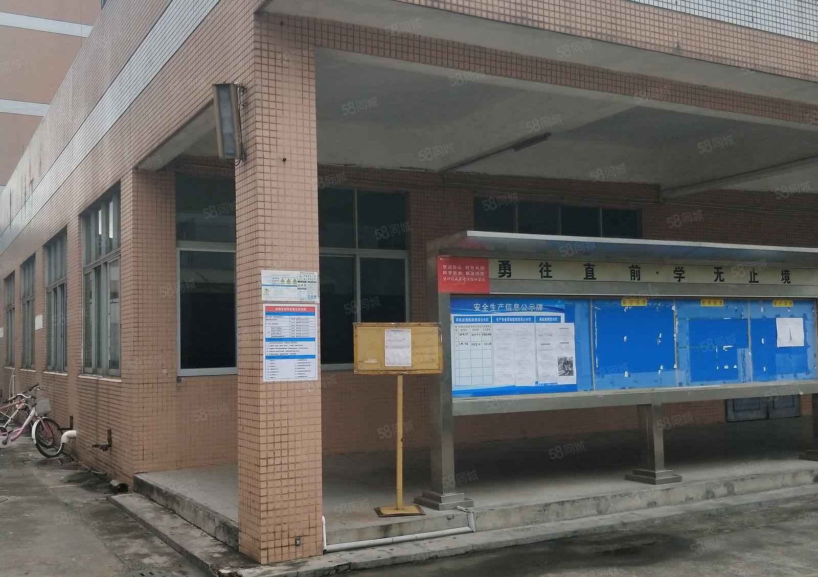 南城 周溪 经典 独院 一层 1100平方 位置好，空地大