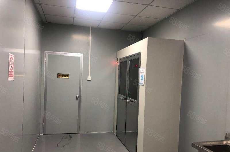 南城全新装修3000平方厂房出租，可办环评，可做食品加工