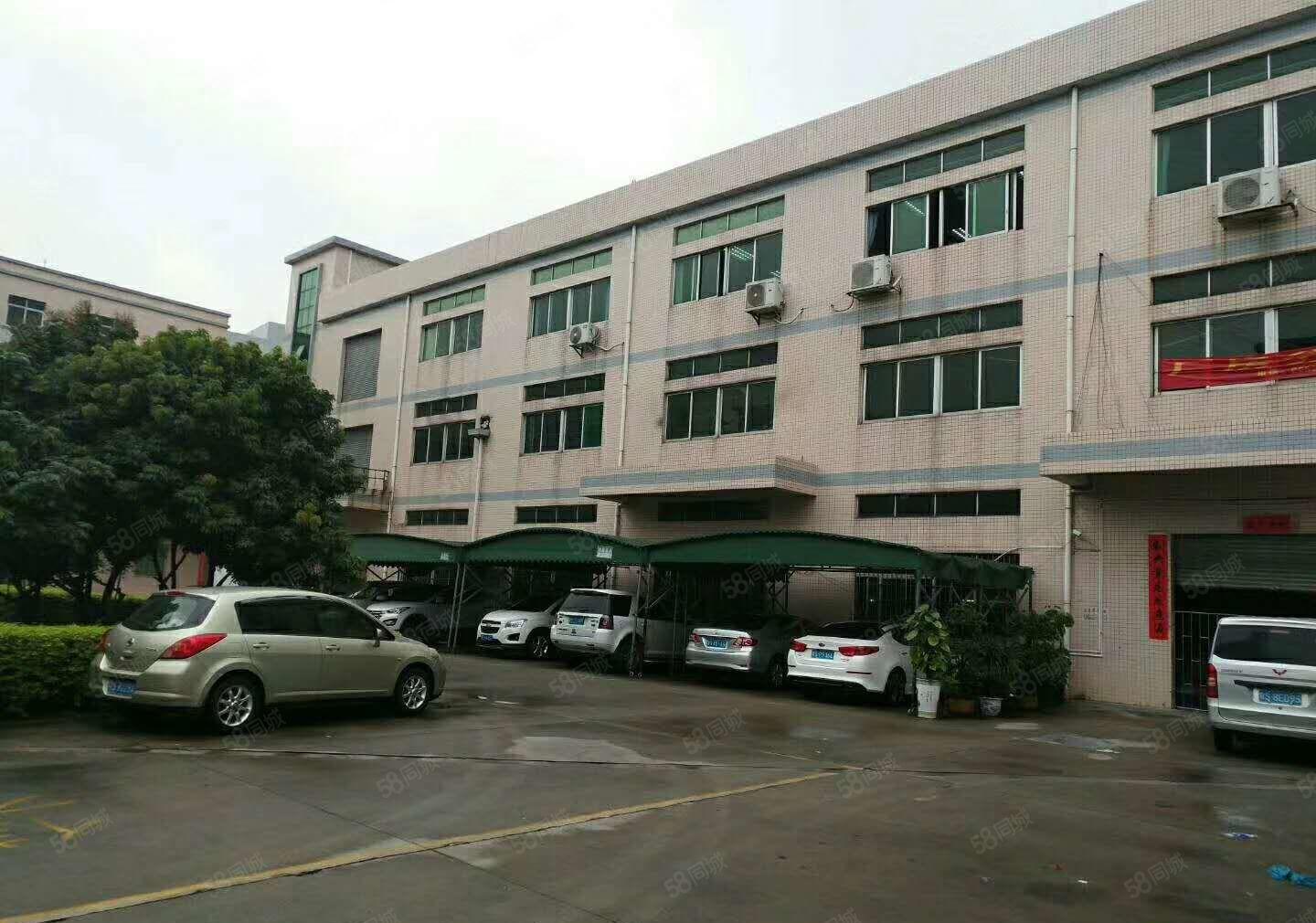 南城蛤地下周空出一楼厂房550平方，可做仓库