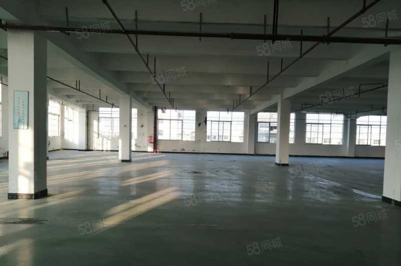 南城新空独立一楼556平二楼780平，交通方便，空地大带电梯