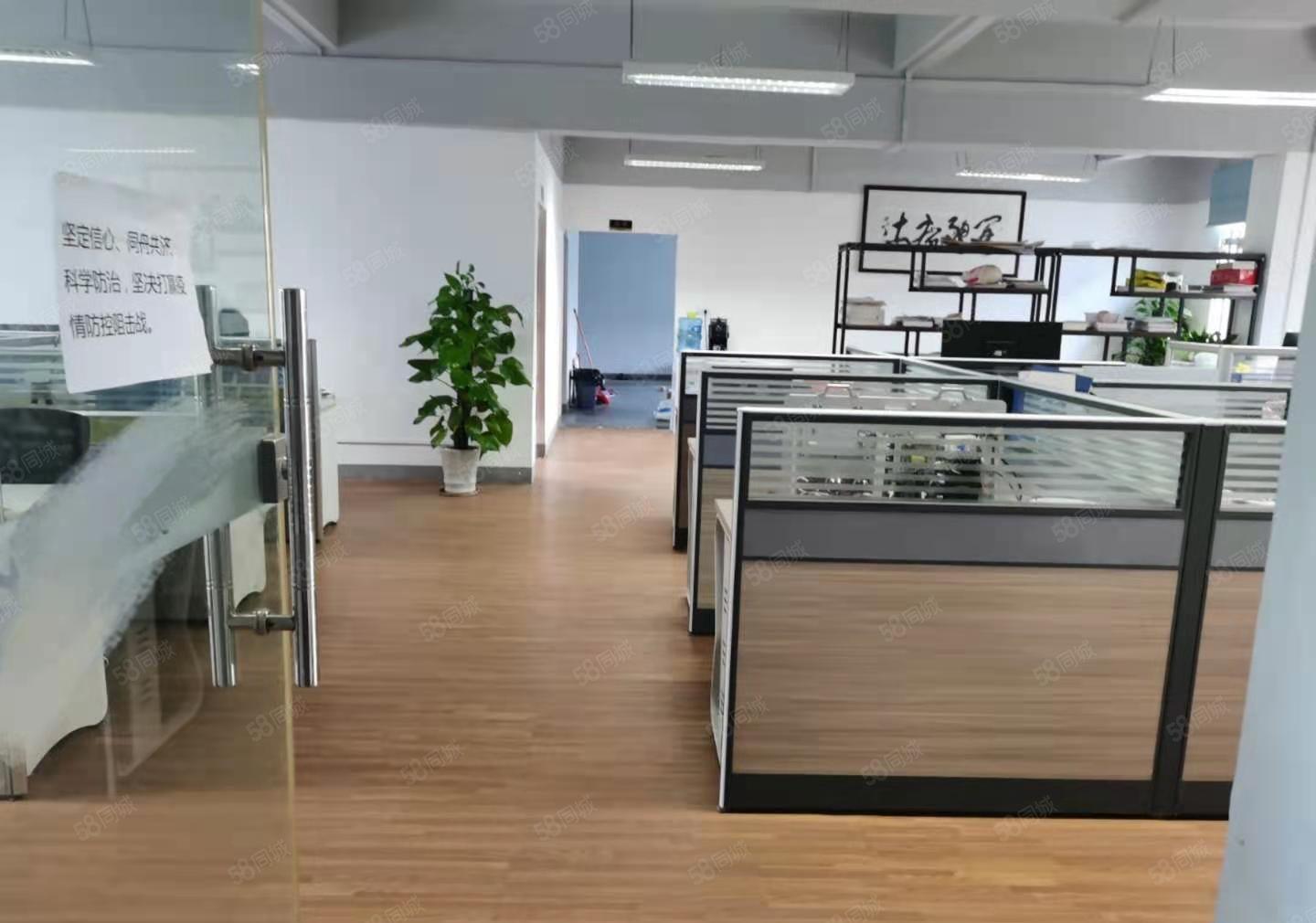 精装修厂房出租！南城蛤地原房东一楼800平，水电齐全