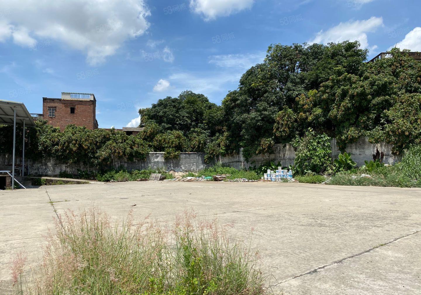 本地房东诚邀做文化旅游的老板，7000平，空地大环境优美