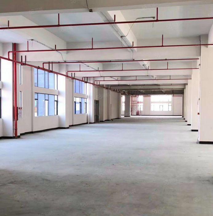 南城蛤地空出一楼2200平方，可做仓库