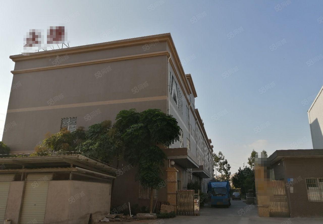 东莞企石镇前一秒新出独门独院原房东标准厂房便宜招租