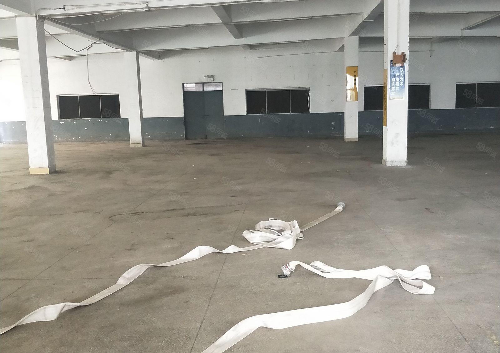 南城 周溪 经典 独院 一层 1100平方 位置好，空地大