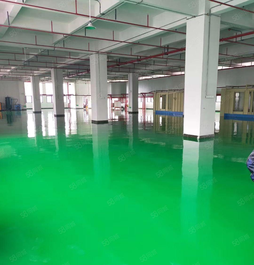 全新厂房出租30000平方大小可分租可做仓库形象好