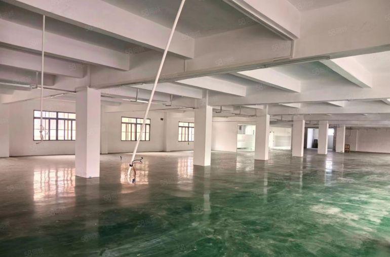 东莞东城桑园工业聚集地新出标准厂房500平 厂房出租现城装修