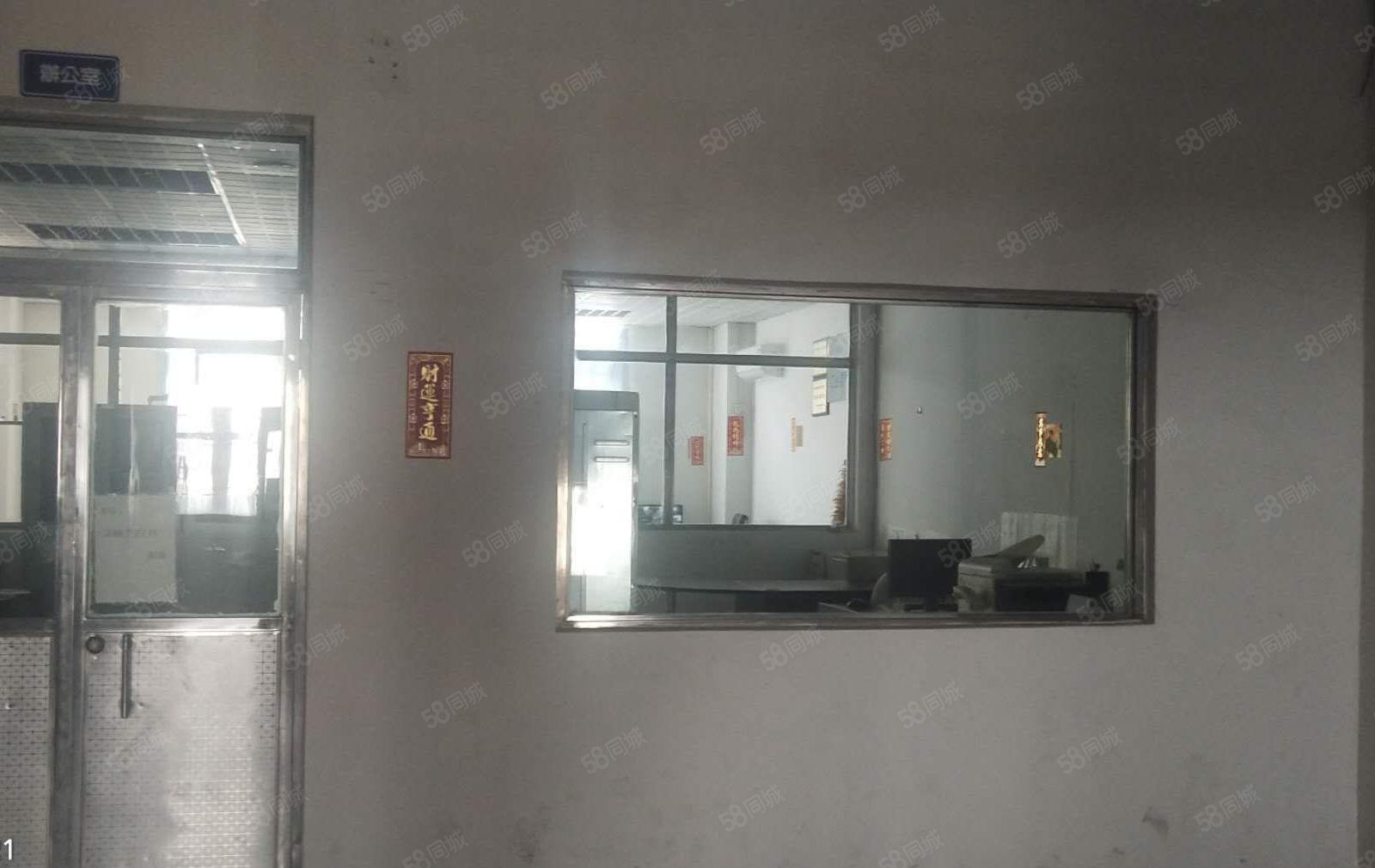 东城主山大井头附近工业园分租标准一楼300方价格实惠