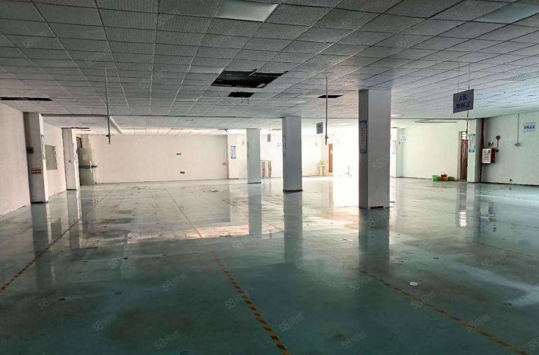 8块8 500平起分 上市公司形象厂房出租 现成装修水电齐全