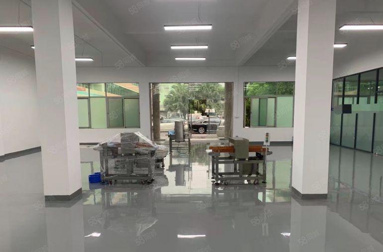 东莞东城厂房出租1楼500平方，全新装修，水电齐全，工业用地