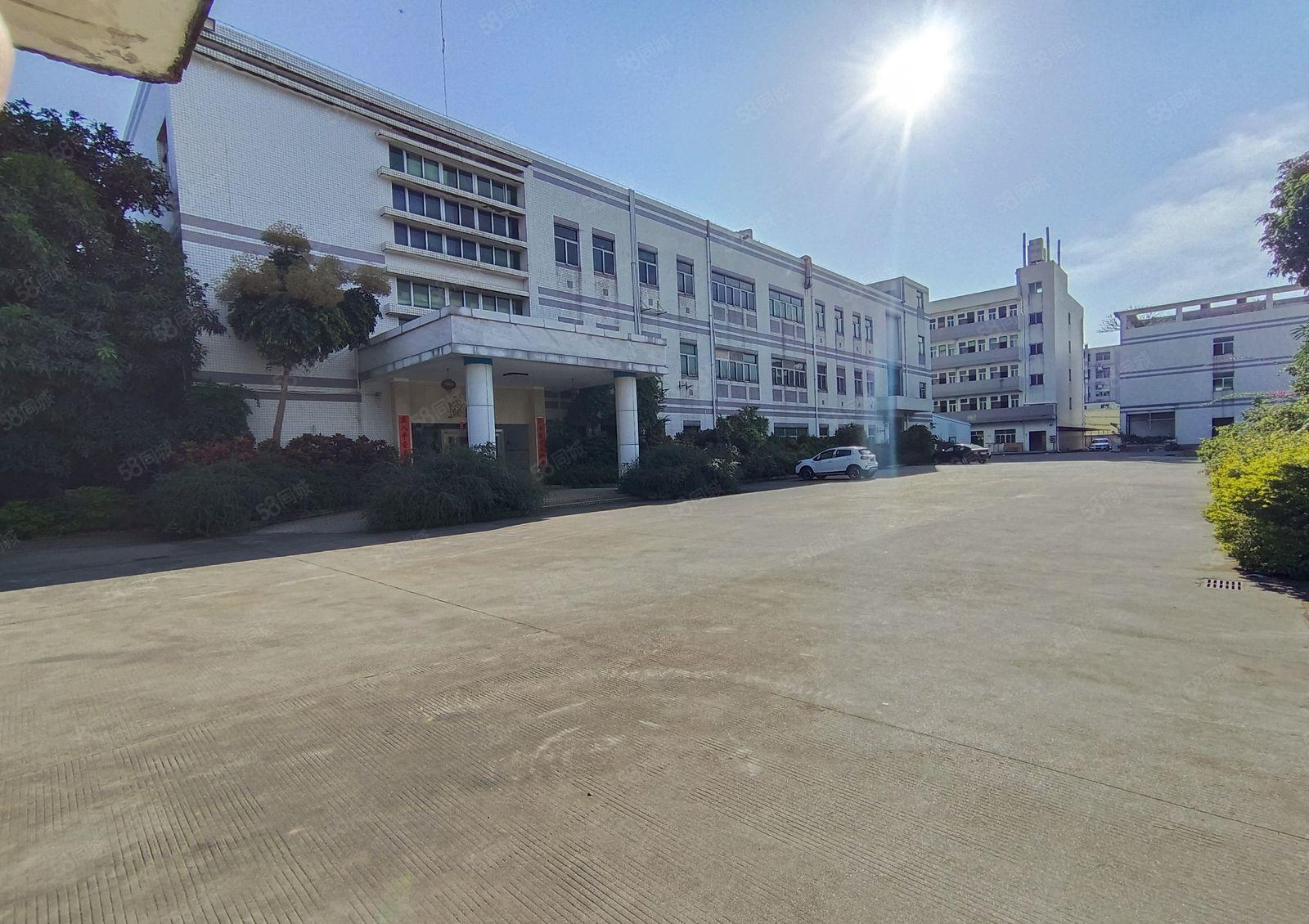 原房东独院厂房出租独栋厂房重工业厂房花园厂房精装修厂房